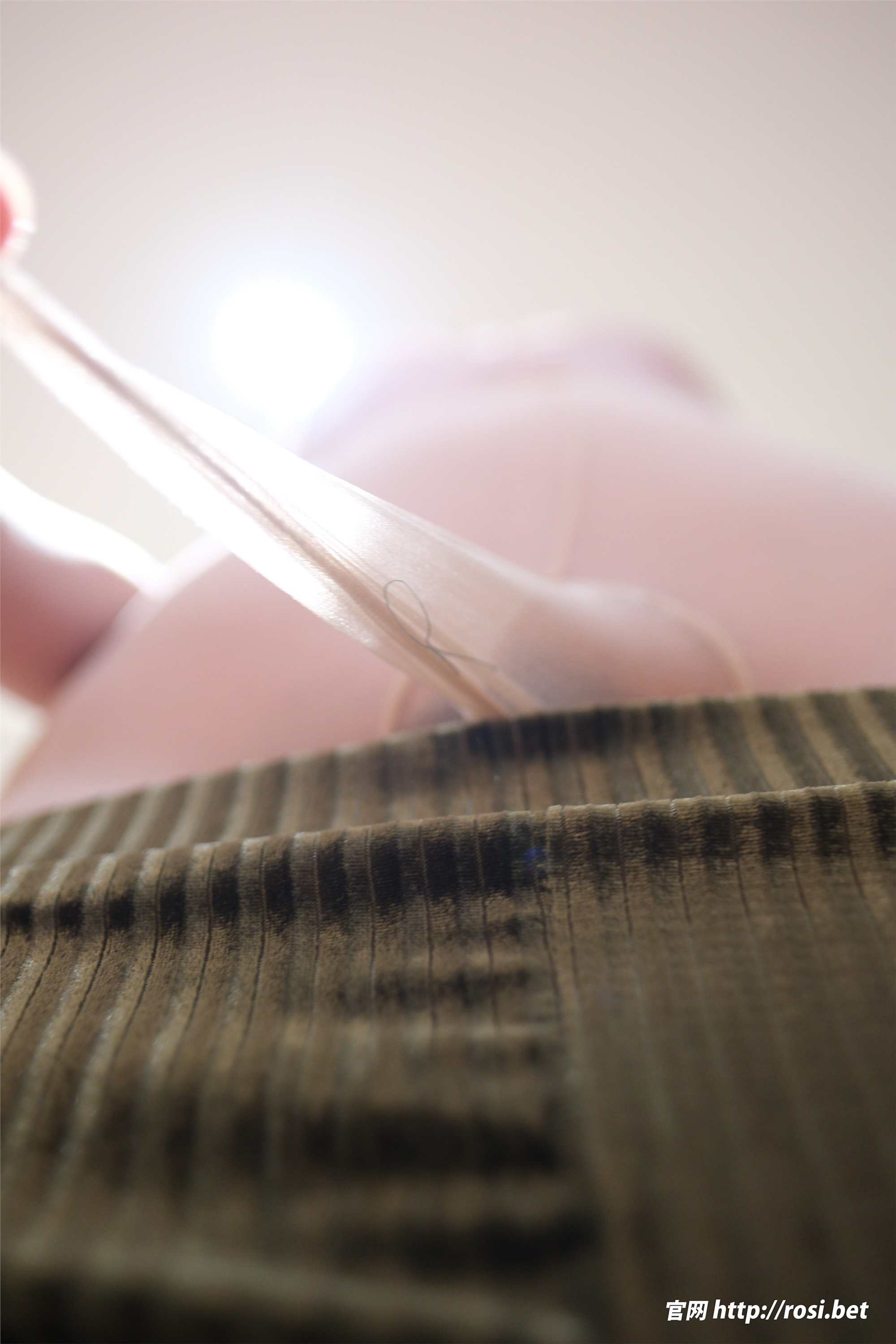 ROSI写真 2026.02.19 NO.5190